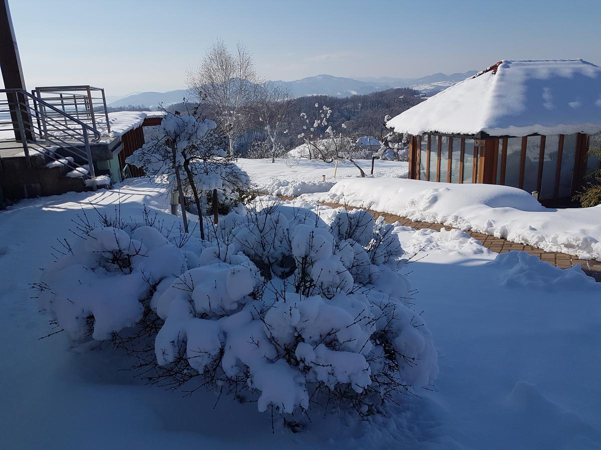 B&B Villa Angelina Rogaška Slatina Exterior foto